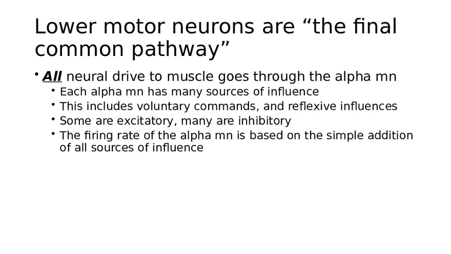 Spinal Cord - Page 31