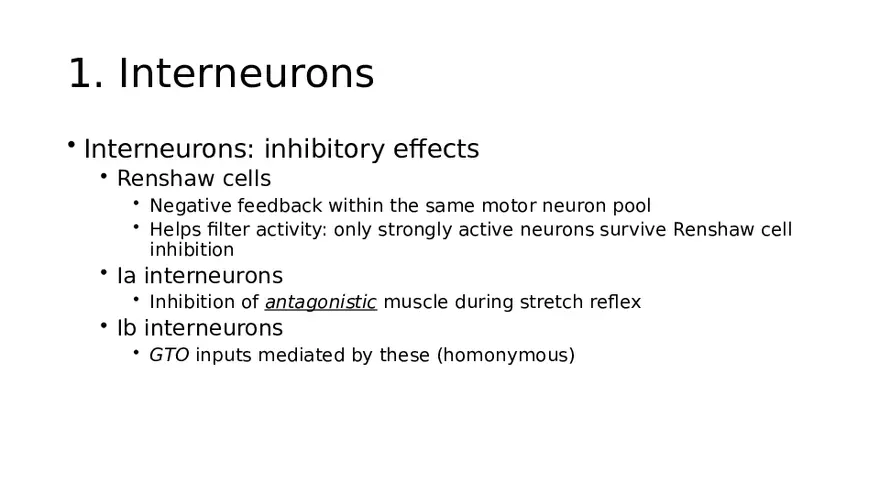 Spinal Cord - Page 33