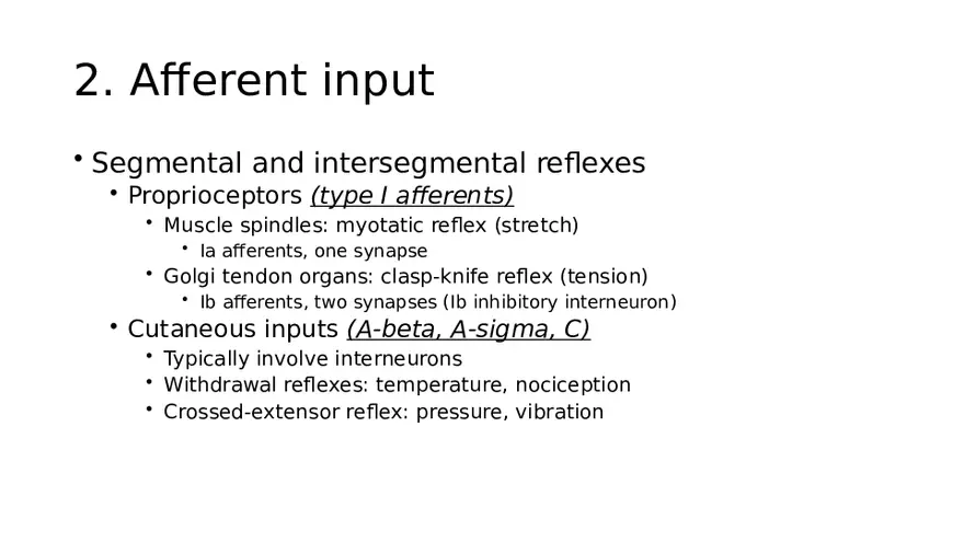 Spinal Cord - Page 36