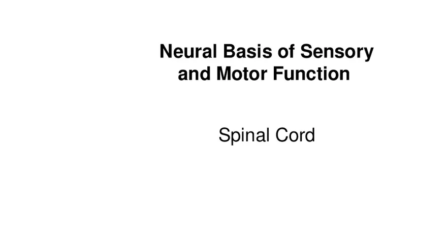 Spinal Cord - Page 1