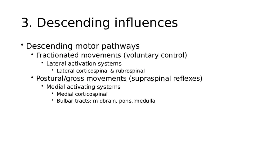 Spinal Cord - Page 38