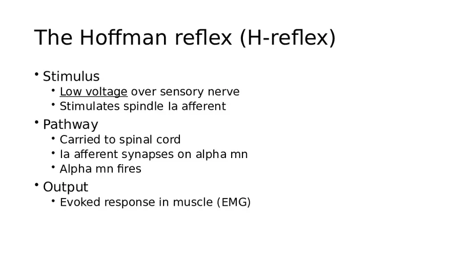 Spinal Cord - Page 42