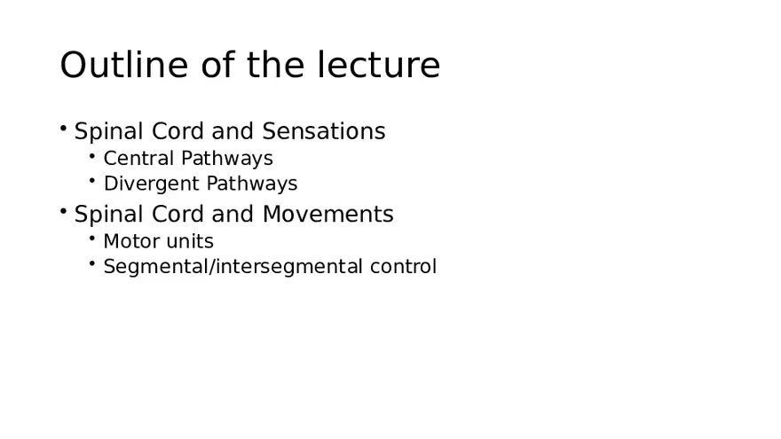 Spinal Cord - Page 2