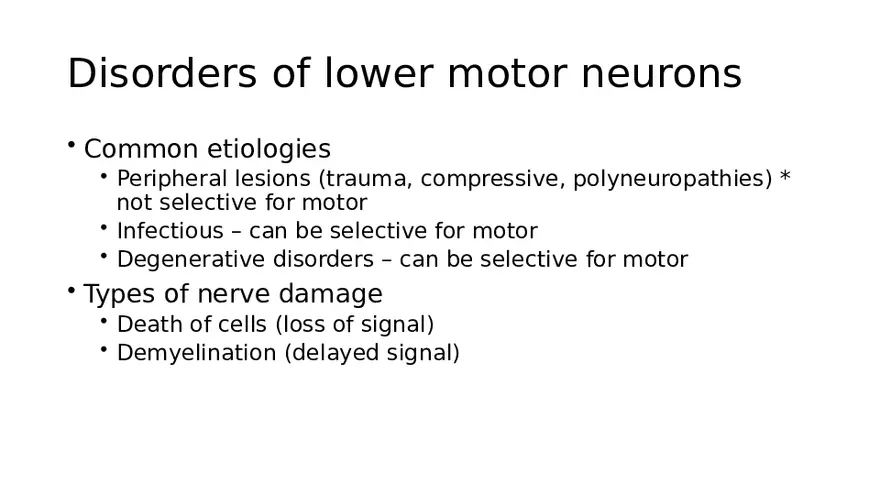 Spinal Cord - Page 49