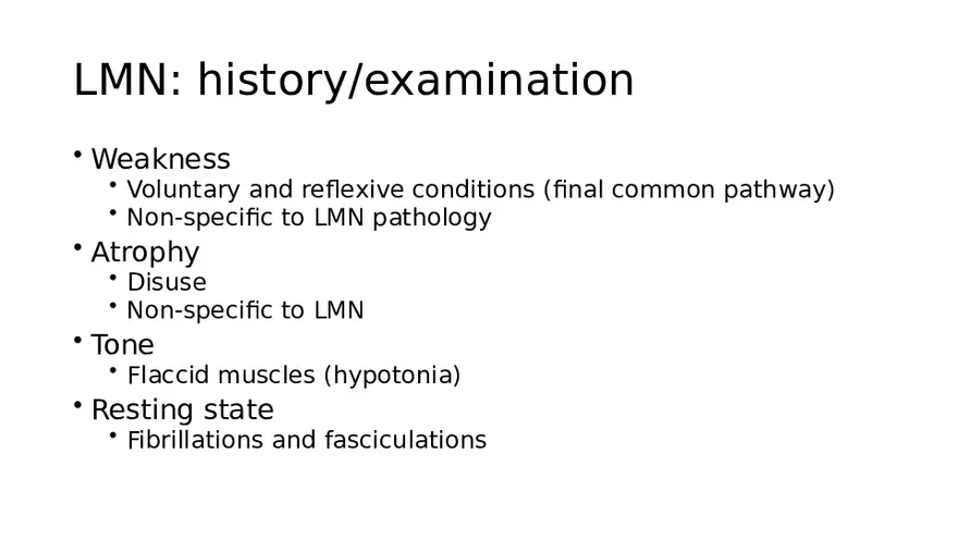 Spinal Cord - Page 50