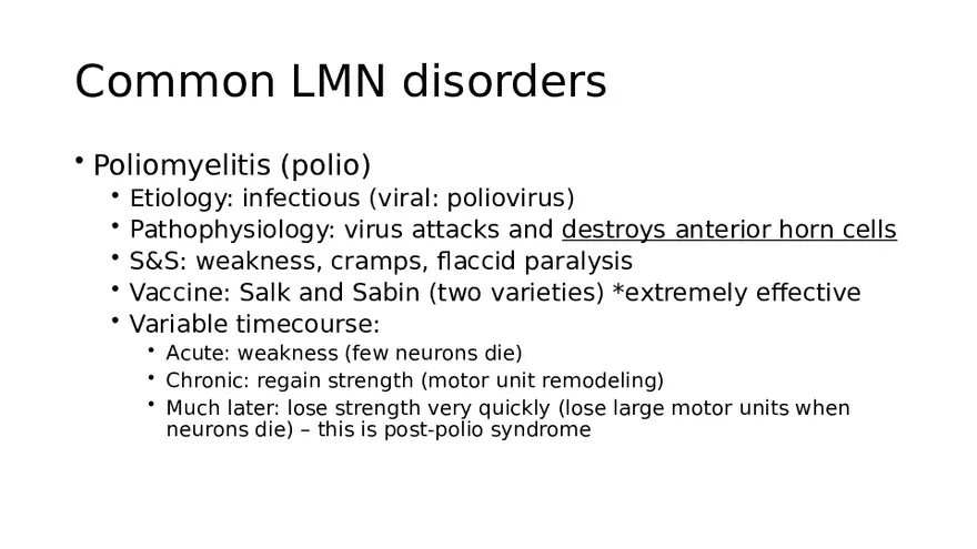 Spinal Cord - Page 54