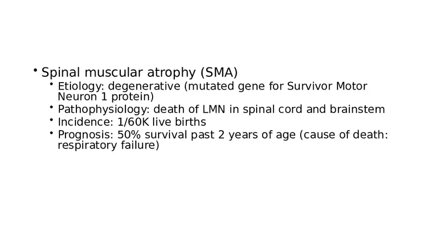 Spinal Cord - Page 56