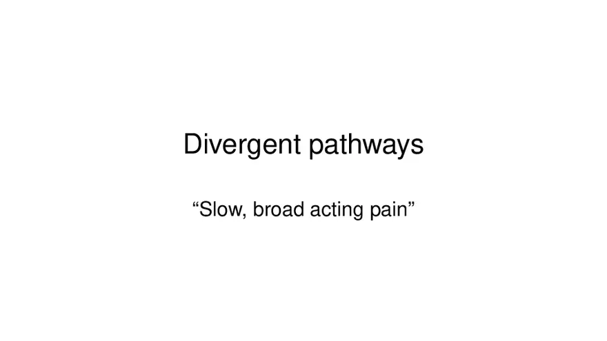 Spinal Cord - Page 3