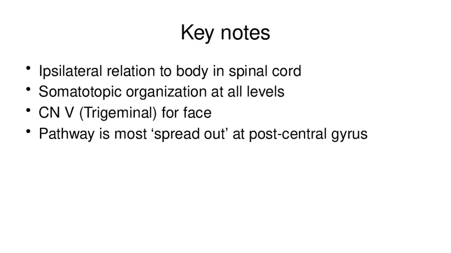 Spinal Cord - Page 57