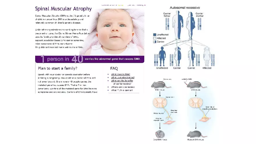 Spinal Cord - Page 58