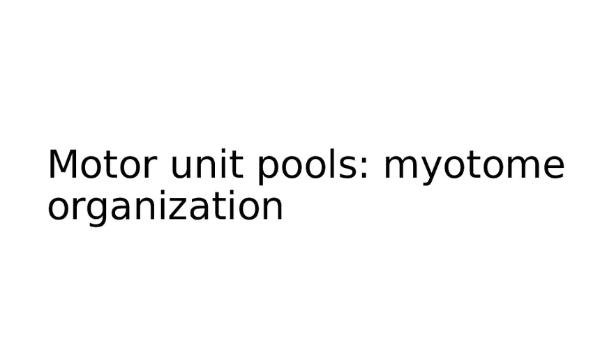 Spinal Cord - Page 61