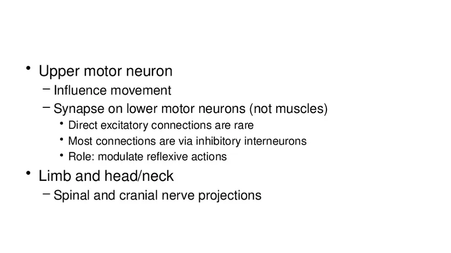 Spinal Cord - Page 65