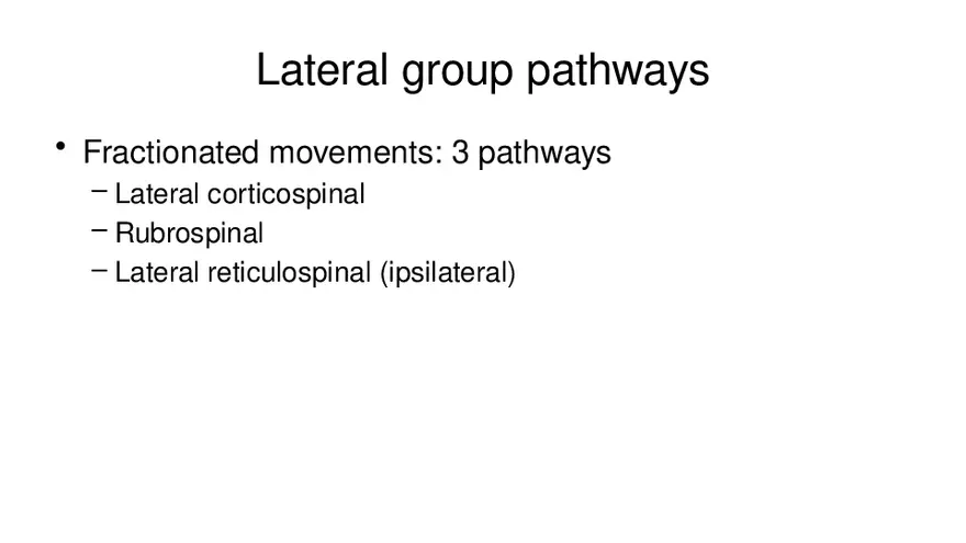 Spinal Cord - Page 66