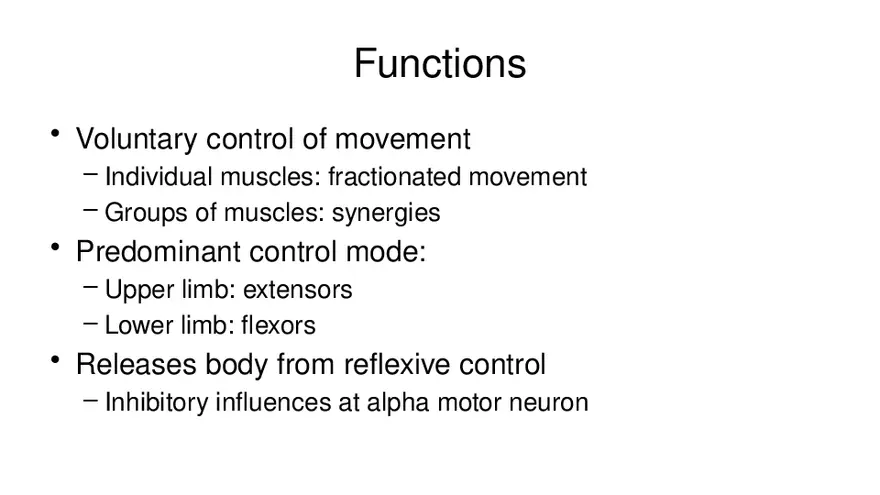 Spinal Cord - Page 72