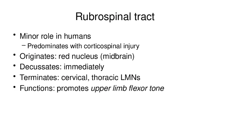 Spinal Cord - Page 76
