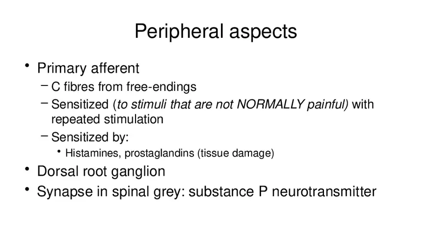 Spinal Cord - Page 5