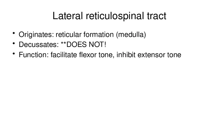 Spinal Cord - Page 77
