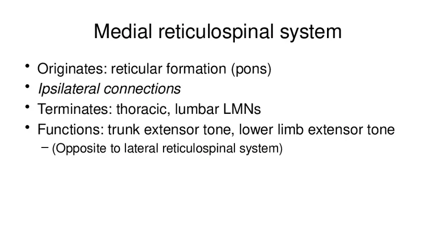 Spinal Cord - Page 84