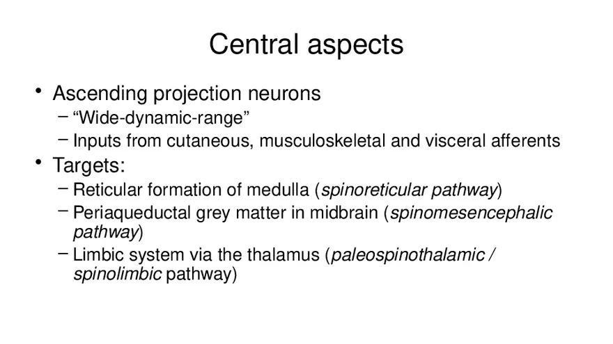 Spinal Cord - Page 6