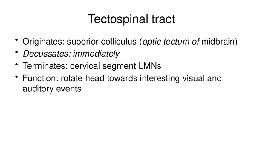 Spinal Cord - Page 87