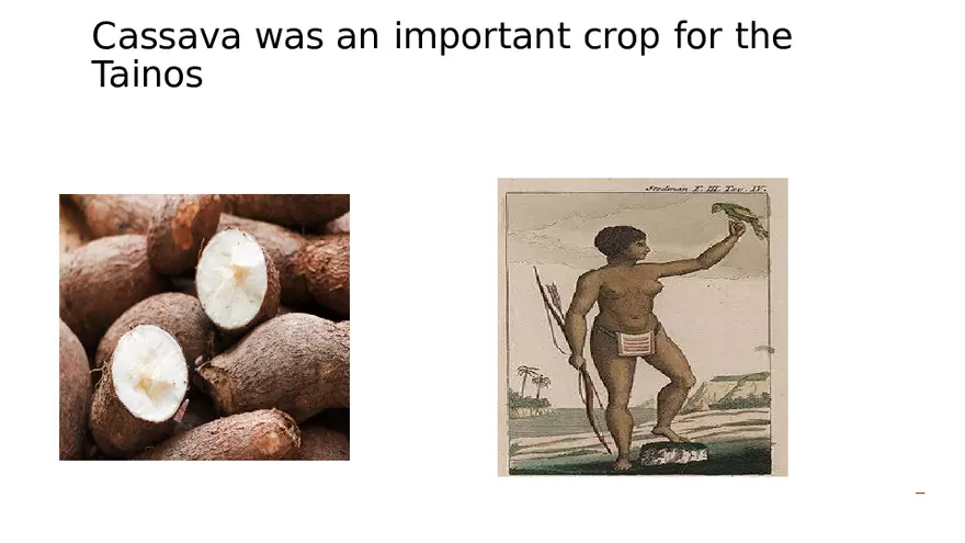 The Tainos and Kalinagos - Page 15