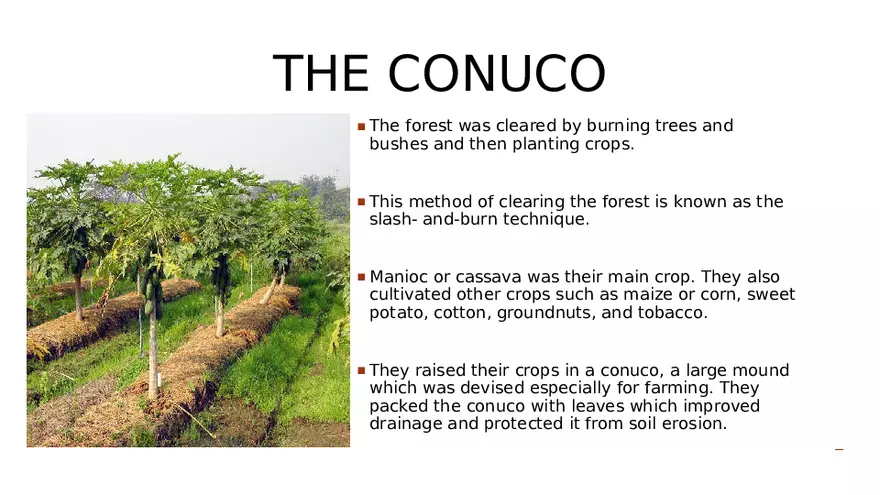 The Tainos and Kalinagos - Page 22