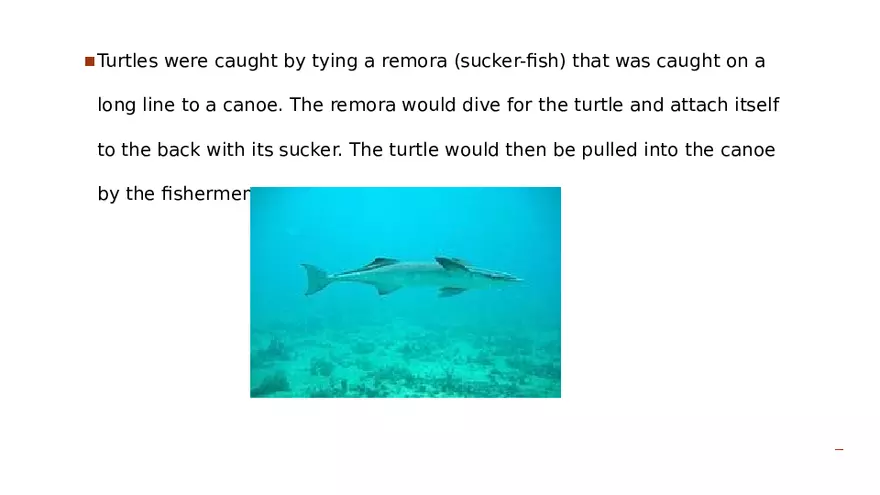 The Tainos and Kalinagos - Page 25