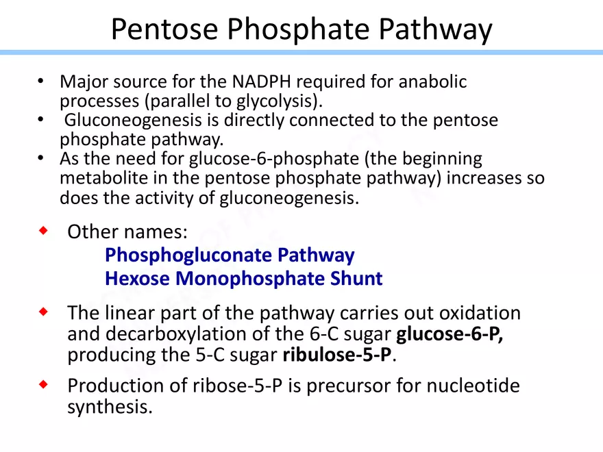 Pentose Phosphate Pathway - Page 1