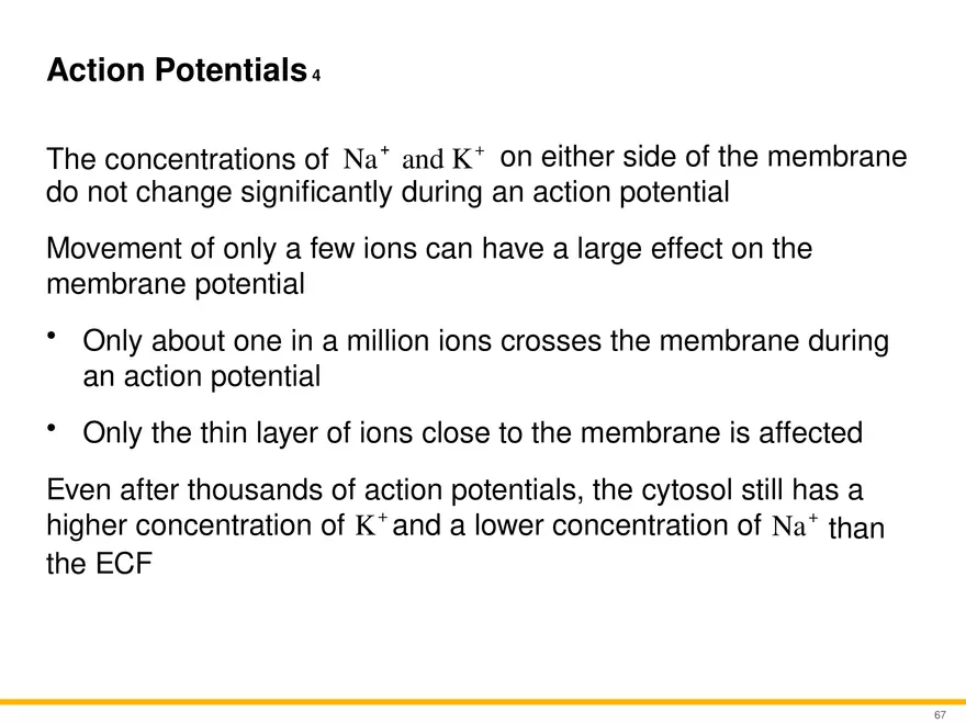 12.4 Electrophysiology of Neurons - Page 10