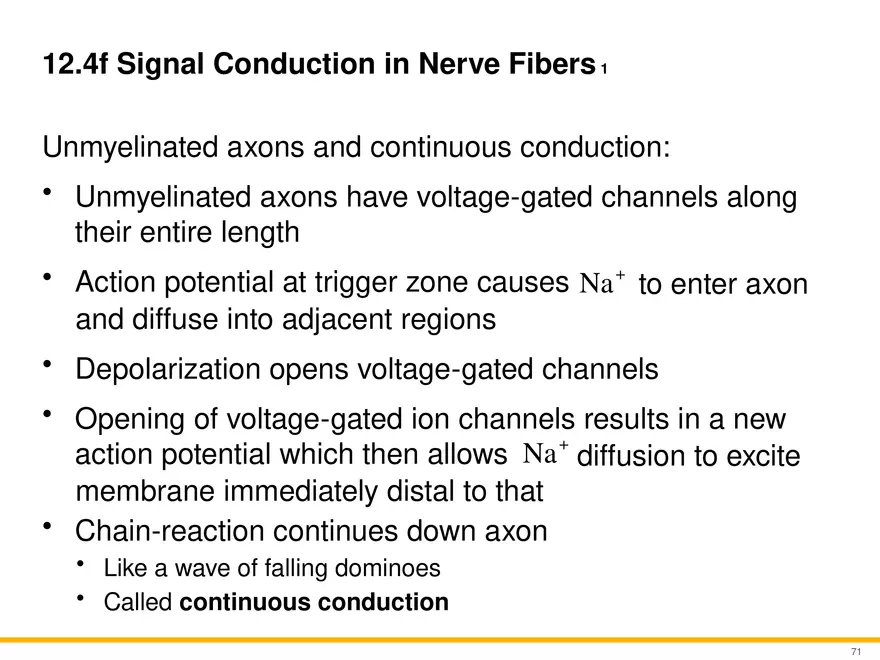 12.4 Electrophysiology of Neurons - Page 15