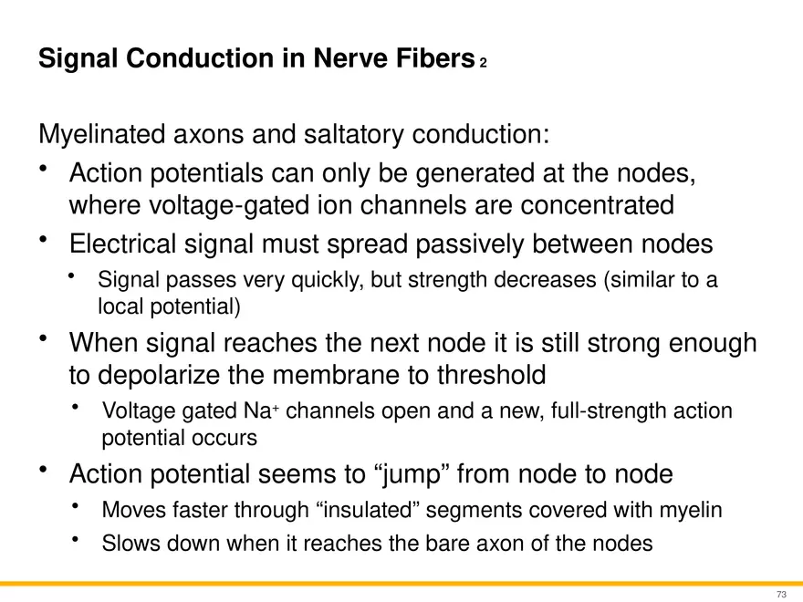 12.4 Electrophysiology of Neurons - Page 17