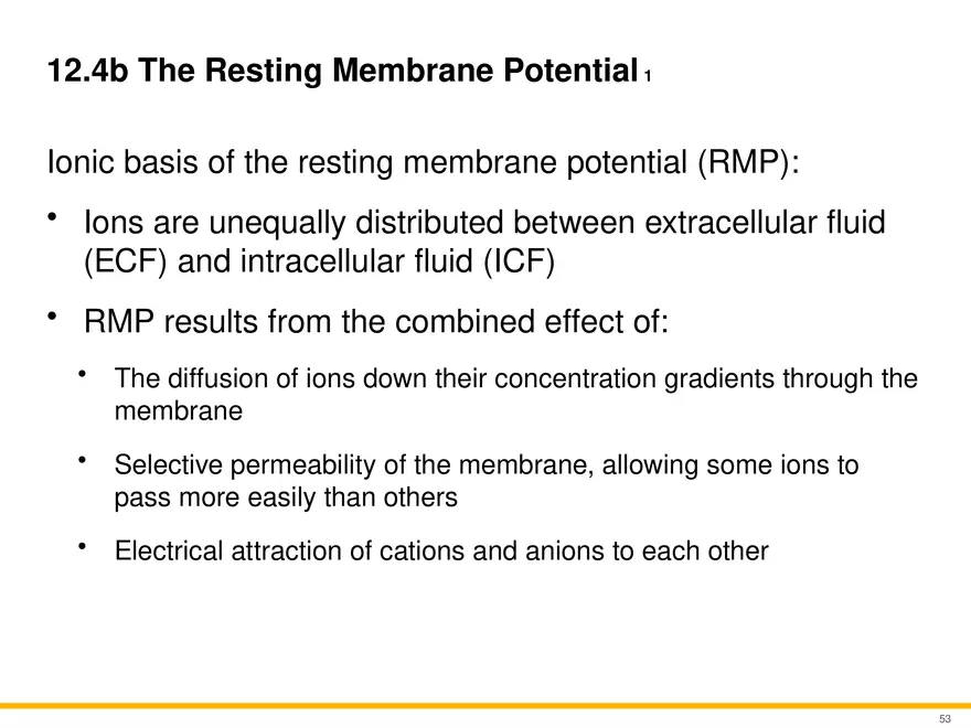 12.4 Electrophysiology of Neurons - Page 20