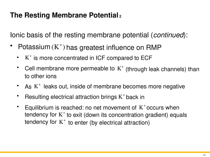 12.4 Electrophysiology of Neurons - Page 21