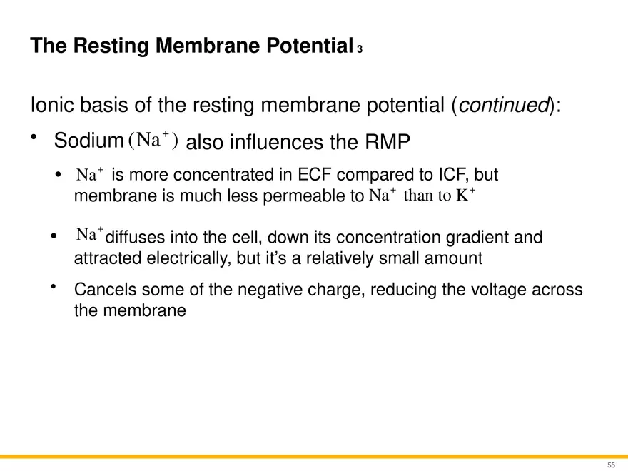 12.4 Electrophysiology of Neurons - Page 22