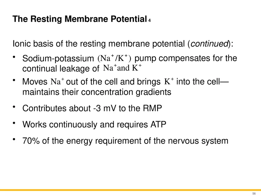12.4 Electrophysiology of Neurons - Page 23