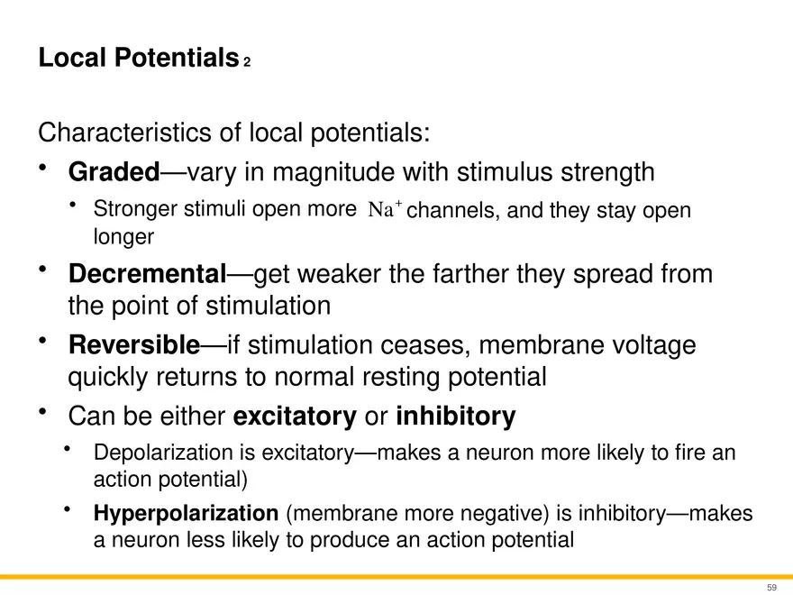 12.4 Electrophysiology of Neurons - Page 26
