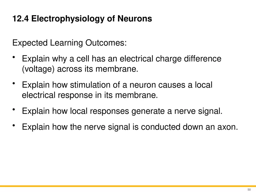 12.4 Electrophysiology of Neurons - Page 1