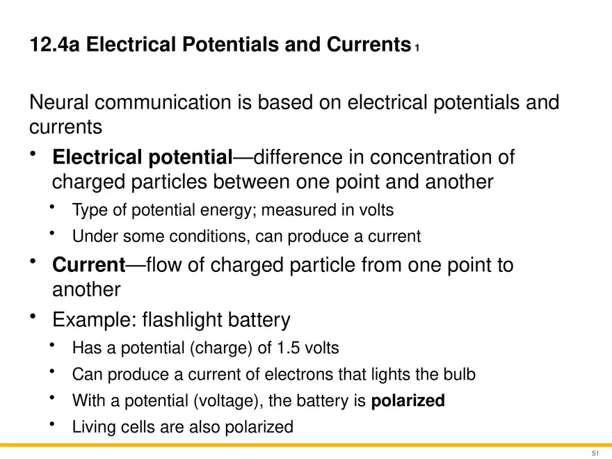 12.4 Electrophysiology of Neurons - Page 2
