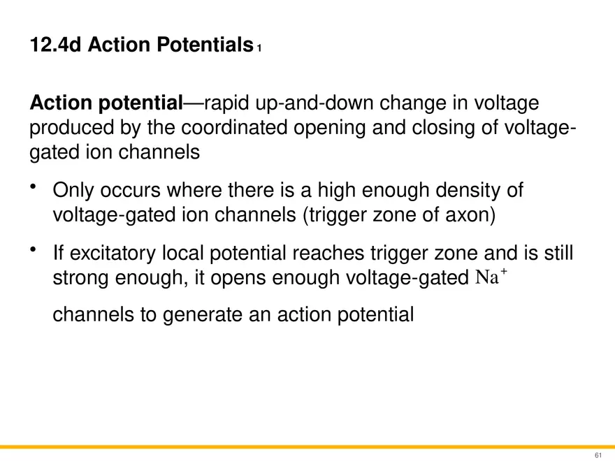 12.4 Electrophysiology of Neurons - Page 4