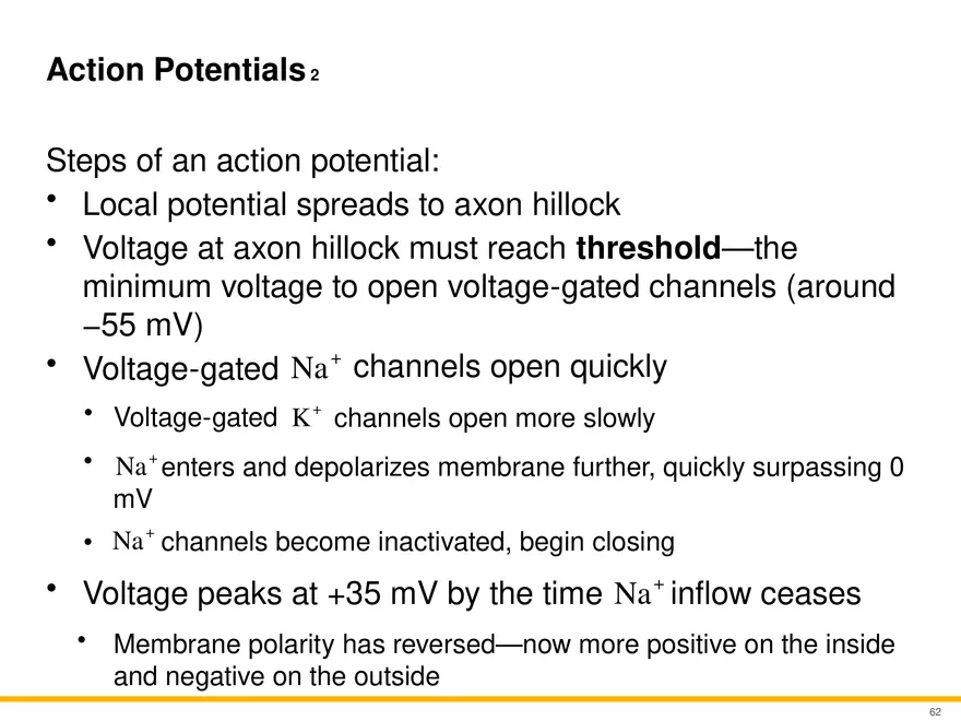 12.4 Electrophysiology of Neurons - Page 5