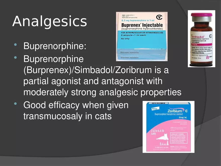 Anesthetic Drugs (Veterinary) - Page 22
