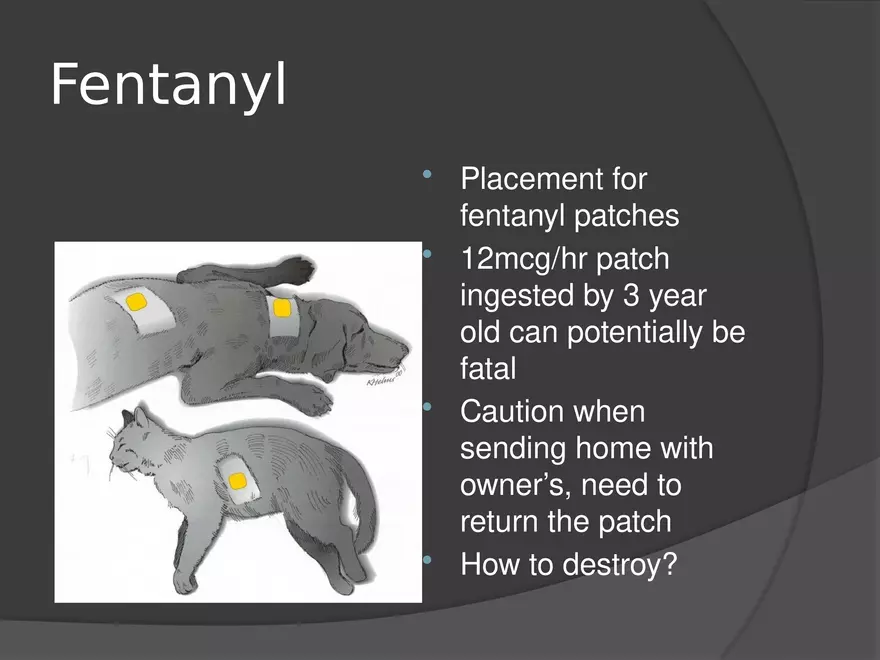Anesthetic Drugs (Veterinary) - Page 25