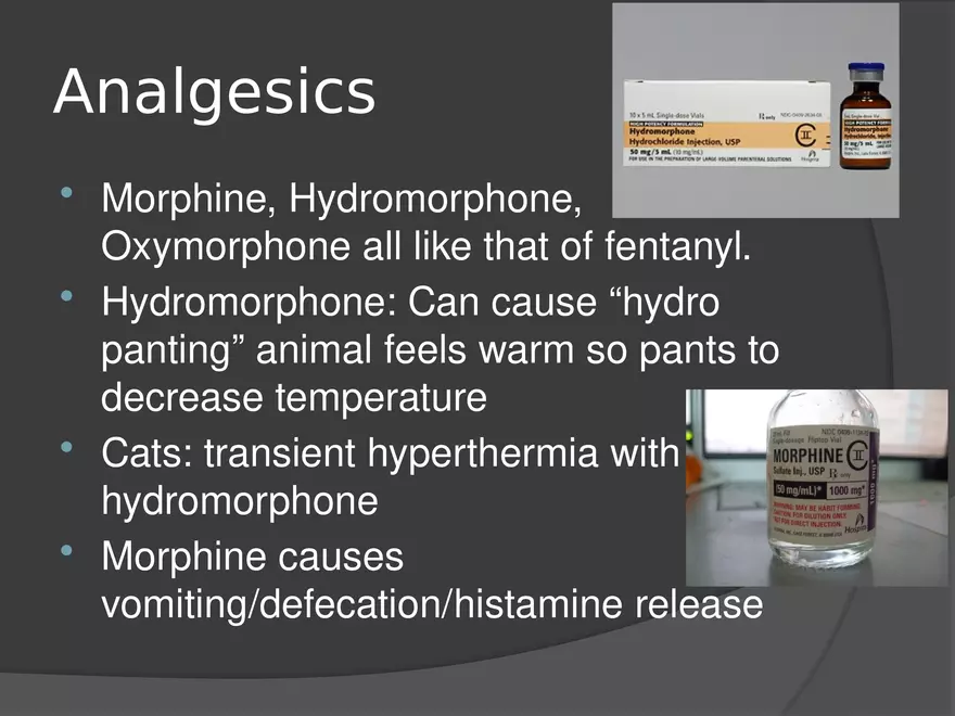 Anesthetic Drugs (Veterinary) - Page 26