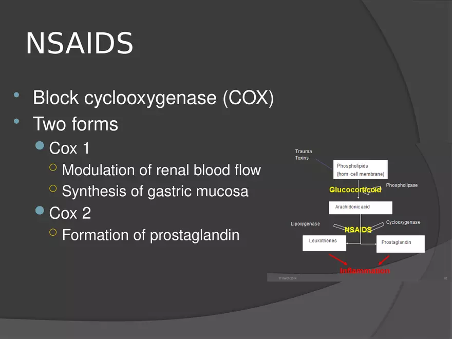 Anesthetic Drugs (Veterinary) - Page 28