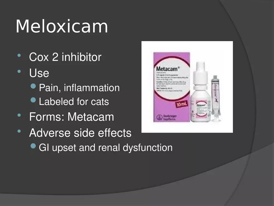 Anesthetic Drugs (Veterinary) - Page 38