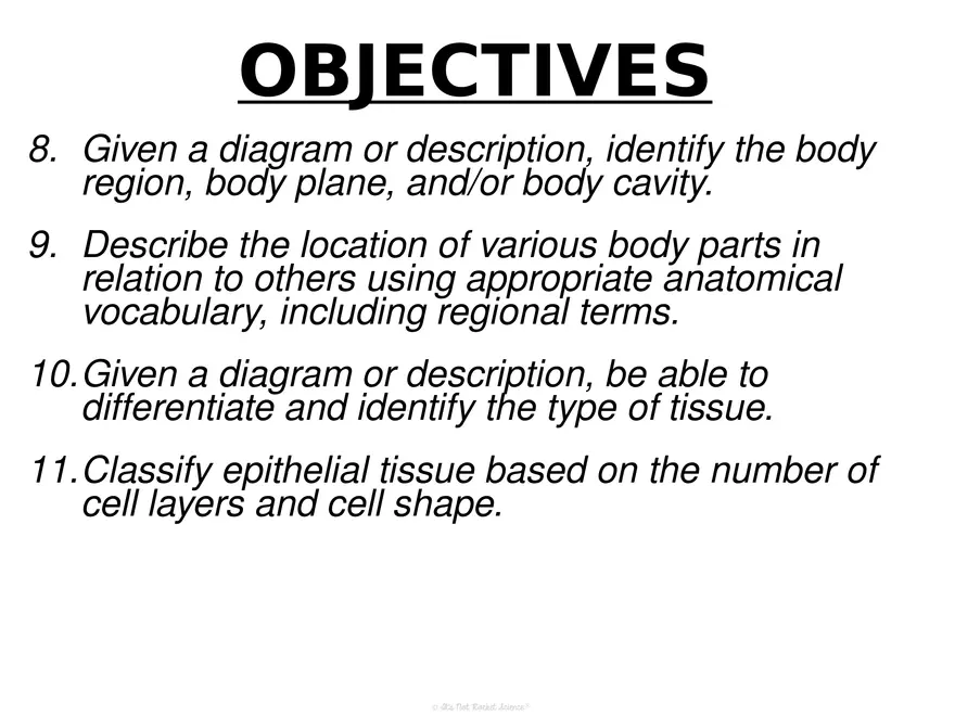 Anatomy Concept 3 Anatomy Basics - Page 8
