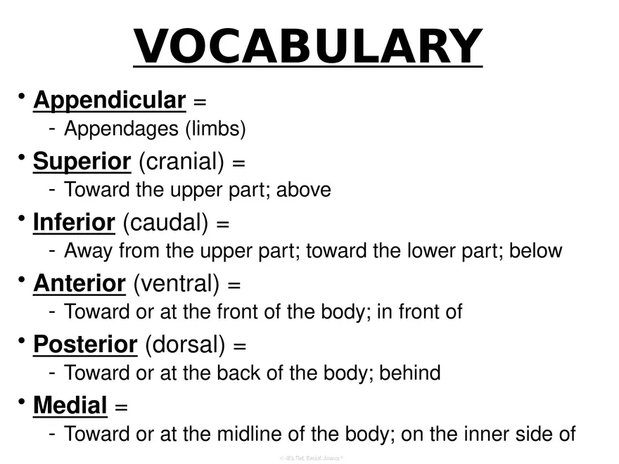 Anatomy Concept 3 Anatomy Basics - Page 9