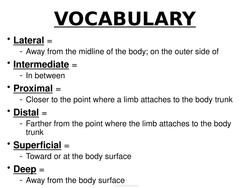 Anatomy Concept 3 Anatomy Basics - Page 10