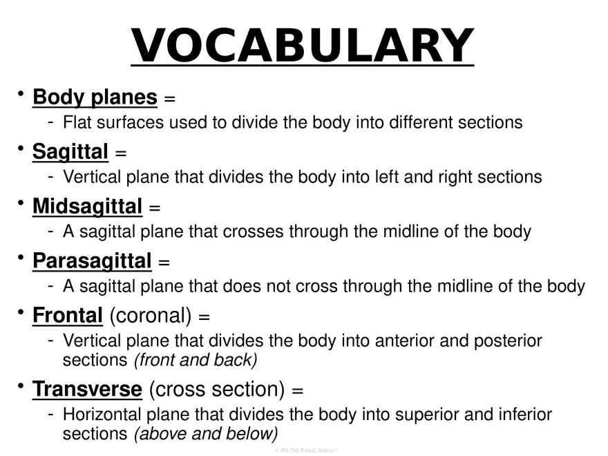 Anatomy Concept 3 Anatomy Basics - Page 11