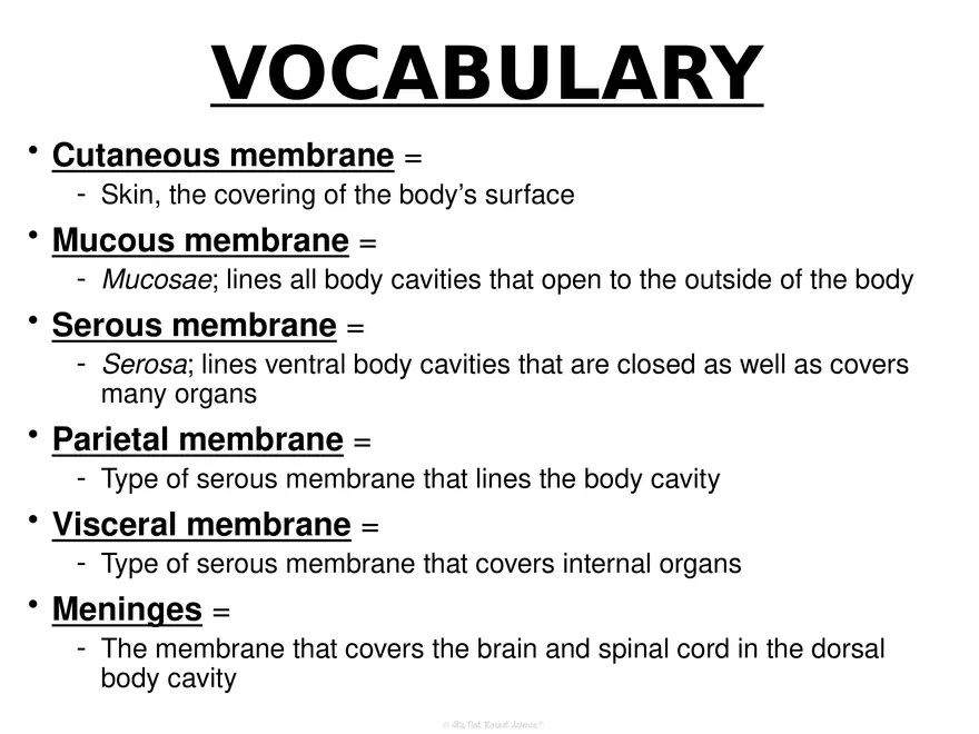 Anatomy Concept 3 Anatomy Basics - Page 12